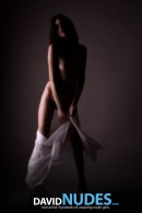 Ksenya Lace Dance gallery from DAVID-NUDES by David Weisenbarger - #5