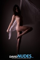Ksenya Lace Dance gallery from DAVID-NUDES by David Weisenbarger - #9
