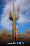Tatyana Saguaro gallery from DAVID-NUDES by David Weisenbarger - #5