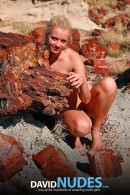 Tatyana Petrified Forest gallery from DAVID-NUDES by David Weisenbarger - #7