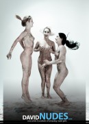 Rima, Alla, &#38;amp; Riyeesa Paint Me gallery from DAVID-NUDES by David Weisenbarger - #7