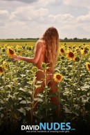 Alena Sunflowers gallery from DAVID-NUDES by David Weisenbarger - #15