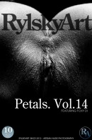 Foxy Di in Petals. Vol.14 gallery from RYLSKY ART by Rylsky - #11