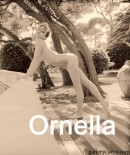 Ornella gallery from GALLERY-CARRE by Didier Carre - #4