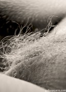 Hairy-or-bald-2 in Hairy Or Bald ? gallery from GALLERY-CARRE by Didier Carre - #11