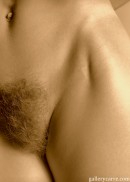 Hairy-or-bald-2 in Hairy Or Bald ? gallery from GALLERY-CARRE by Didier Carre - #2
