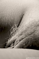 Hairy-or-bald-2 in Hairy Or Bald ? gallery from GALLERY-CARRE by Didier Carre - #8