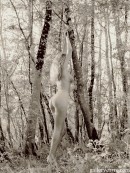Sylvie in In The Woods gallery from GALLERY-CARRE by Didier Carre - #3
