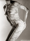 Body-art in Body Art gallery from GALLERY-CARRE by Didier Carre - #4