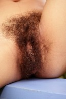 Aileena in exotic and hairy gallery from ATKPETITES - #3