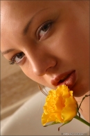 Irina in Yellow Rose gallery from MPLSTUDIOS by Alexander Fedorov - #13