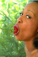 Kenya in Gallery #14 gallery from ATKEXOTICS - #10