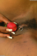 Kenya in Gallery #14 gallery from ATKEXOTICS - #3