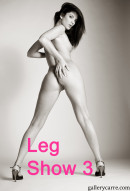 Leg-show-2 in Leg Show gallery from GALLERY-CARRE by Didier Carre - #4
