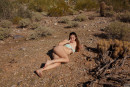 Rochelle Safford Desert Day Pt 2 gallery from ZISHY by Zach Venice - #7