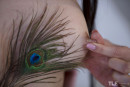 Sasha Rose in Feathers gallery from THELIFEEROTIC by Sandra Shine - #4