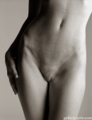 For-hips-lovers-only-2-2 in For Hips Lovers Only 3 gallery from GALLERY-CARRE by Didier Carre - #10