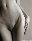 For-hips-lovers-only-2-2 in For Hips Lovers Only 3 gallery from GALLERY-CARRE by Didier Carre - #9