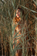 Rena in Naked Superbeauty gallery from FEMJOY by Tom Leonard - #10