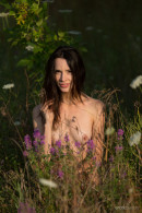 Adel Morel in Lost In The Meadow gallery from EROTICBEAUTY by Marlene - #11