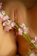 Ava in Bodyscape: Petals in Spring gallery from MPLSTUDIOS by Alexander Fedorov - #4