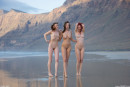 Ariel & Ashley & Lorena G in Beach Hoppers gallery from FEMJOY by Stefan Soell - #13