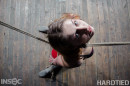 Fallon West in Desperation gallery from HARDTIED - #6