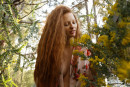 Wendy Patton Organic Ginger S... gallery from ZISHY by Zach Venice - #4
