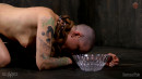 Abigail Dupree in Strength And Endurance TheChain gallery from SENSUALPAIN - #9