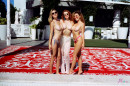 Emily Bloom & Gillian Barnes & Katie Darling & Abigale in Miami Vice gallery from THEEMILYBLOOM - #7