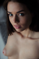 Keira Blue in Animalistic gallery from LOVE HAIRY by Arkisi - #9