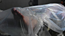 Abigail Dupree in Swathed In Plastic gallery from SENSUALPAIN - #7