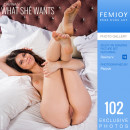 Davina V in What She Wants gallery from FEMJOY by Pazyuk - #1