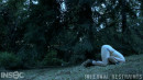 Nadia White in Silence Of The Van gallery from INFERNALRESTRAINTS - #3