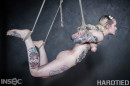 Baby Sid in Contortions gallery from HARDTIED - #7