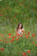 Barbara Vie in Among Flowers gallery from EROTICBEAUTY by Marlene - #15