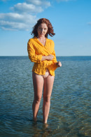 Red Fox in Once on the Beach gallery from THEREDFOXLIFE - #2