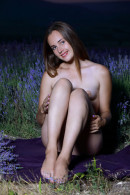 Hailey in Lavender Love gallery from METART by Matiss - #3
