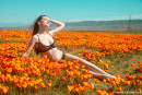 Emily Bloom in Poppies gallery from THEEMILYBLOOM - #13