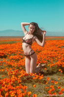 Emily Bloom in Poppies gallery from THEEMILYBLOOM - #2