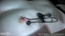Harley Ace in Therapy Part 2 gallery from INFERNALRESTRAINTS - #7