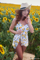 Red Fox in Sunflower gallery from THEEMILYBLOOM - #10