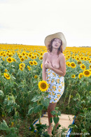 Red Fox in Sunflower gallery from THEEMILYBLOOM - #6