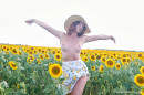 Red Fox in Sunflower gallery from THEEMILYBLOOM - #8