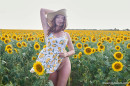 Red Fox in Sunflower gallery from THEEMILYBLOOM - #9