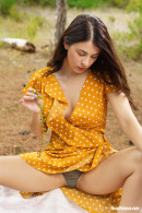 Alice Kelly Outdoors In Polka Dot Dress gallery from TEENDREAMS - #5