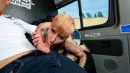 Tattooed German MILF Lady Kinky Cat Eats Jizz In Steamy Bus Sex gallery from LETSDOEIT - #6