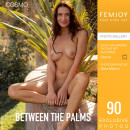 Cosmo in Between The Palms gallery from FEMJOY by Dave Menich - #1
