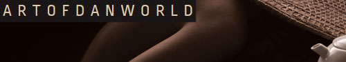 ARTOFDANWORLD banner