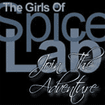 SPICE-LAB Sidebar Logo